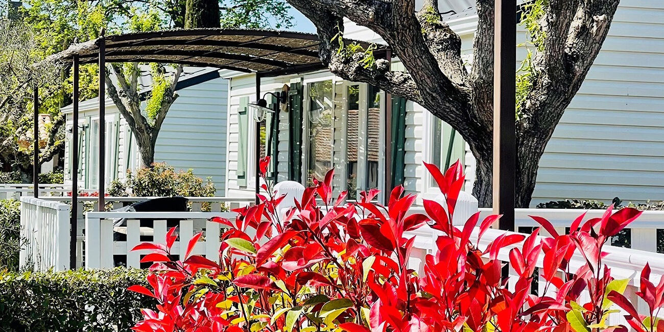 Red shrub in front of mobile home Monplaisir