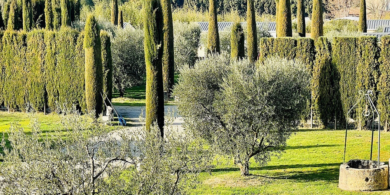 der Brunnen im Olivenhain Monplaisir