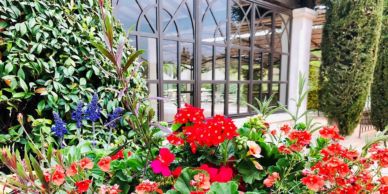 Flowers at bistrot Monplaisir