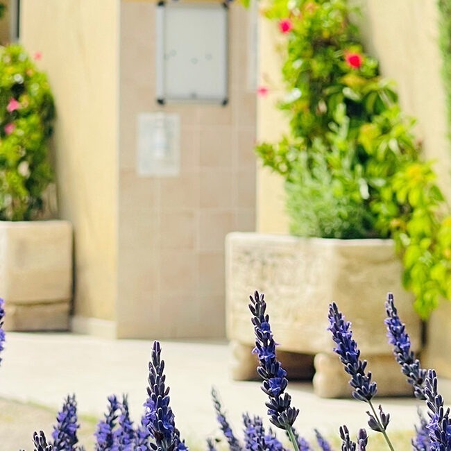 Lavendel en toiletten bij Monplaisir