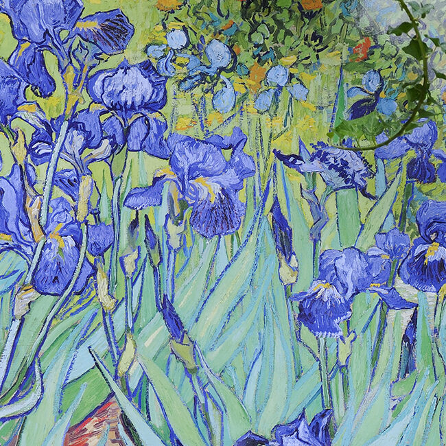 Les Iris de Van Gogh