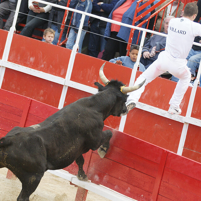 Slagboom in de arena